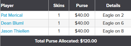 Week 13 Skins